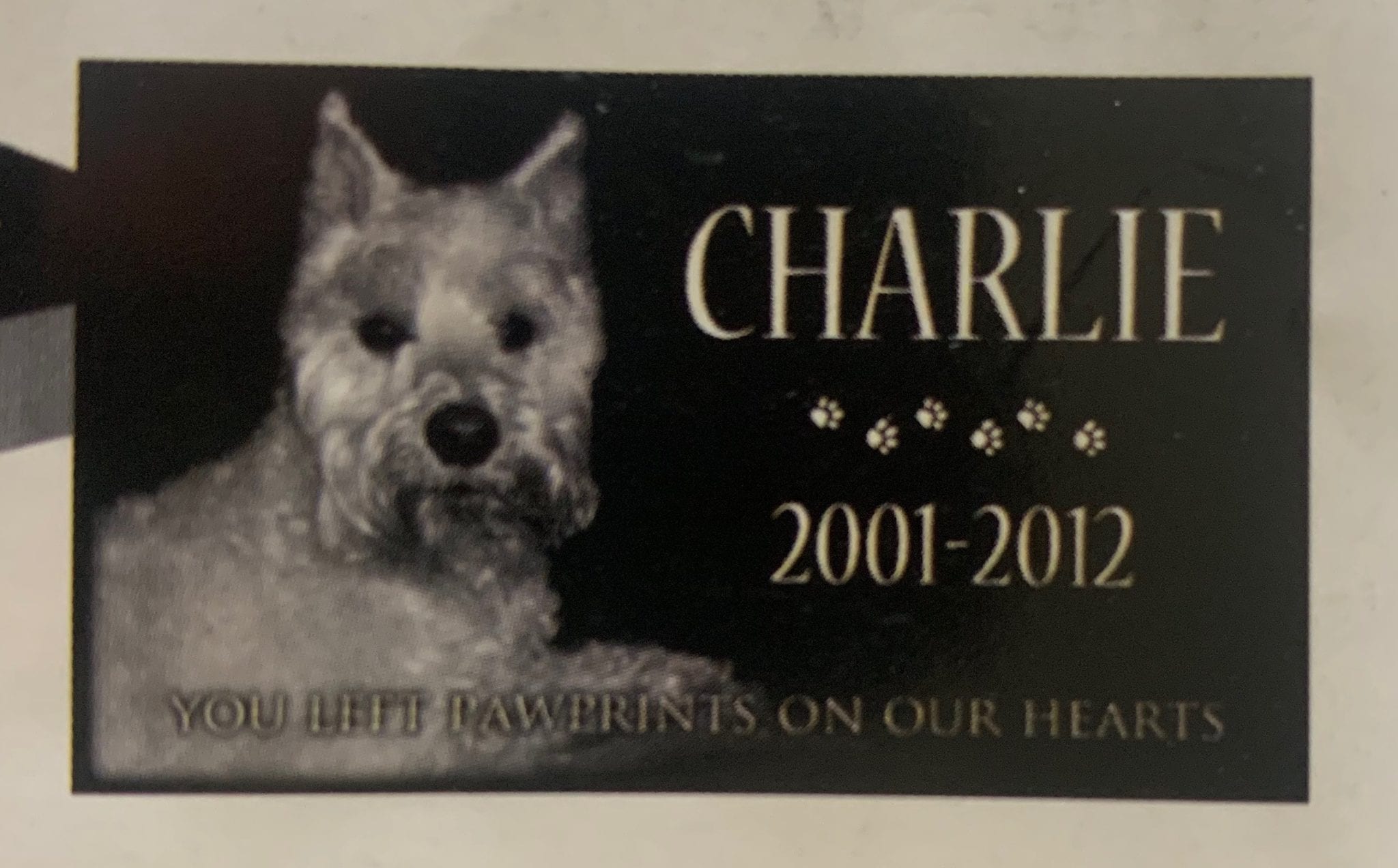 Specialty Pet Grave Marker